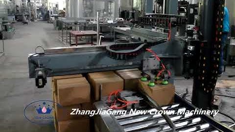 automatic Servo palletizer