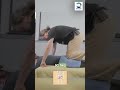 Table Thai Butt Massage For Low Back Pain Painrelief Massagetherapy Thaimassage Bodyrelaxation 