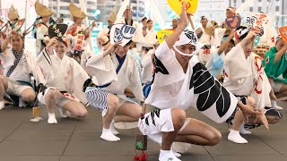 【SOU・SOU阿波おどりStyle】 とまと 甚平 satonoka on X: 