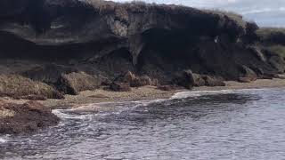 Melting permafrost on Arctic Coastline