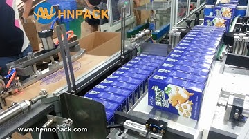 Hennopack Automatic side load case packer for fish seed cake carton packer
