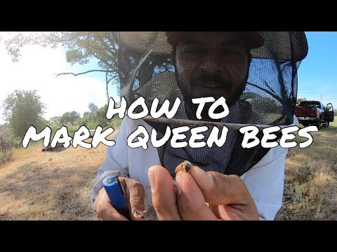 TIPS: HOW TO