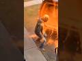This Porch Thief get Paintfull Surprise Caught on Ring Doorbell CAM 📸 💥