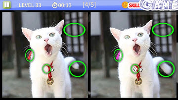 Find & Spot the difference game | Kitten Pack | Level 1 - 100 Walkthrough