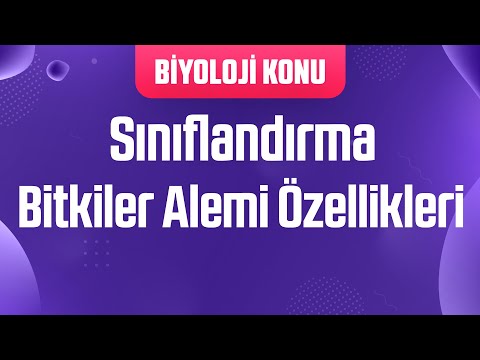 Video: Eşler Nelerdir: Sınıflandırma Ve özellikler