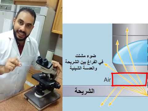   الميكروسكوب الضوئي المركب