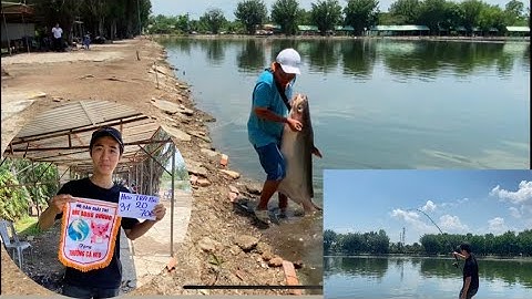 Review Hồ câu giải trí “ HẢI LONG VƯƠNG “ bắt bò 31,20kg kéo xệ tay