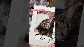 Mit dem Code „Jessy20“ spart ihr noch mal 20% obendrauf ❤️😻 | MEINFOTO.de
