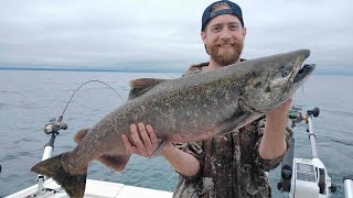 Trolling Lake Ontario KING & COHO Salmon       #fishing #fishingvideo #fish