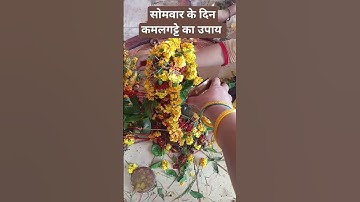 लक्ष्मी प्राप्ति के लिए सोमवार के दिन कमल का फूल या कमलगट्टा जरूर चढ़ाने चाहिए शिवलिंग पर