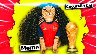Marc Cucurella Cat Meme Explained
