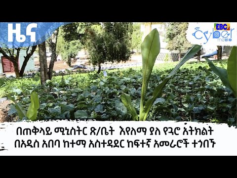 በጠቅላይ ሚኒስትር ጽ/ቤት  እየለማ ያለ የጓሮ አትክልት በአዲስ አበባ ከተማ አስተዳደር ከፍተኛ አመራሮች ተጎበኙ  Etv | Ethiopia | News