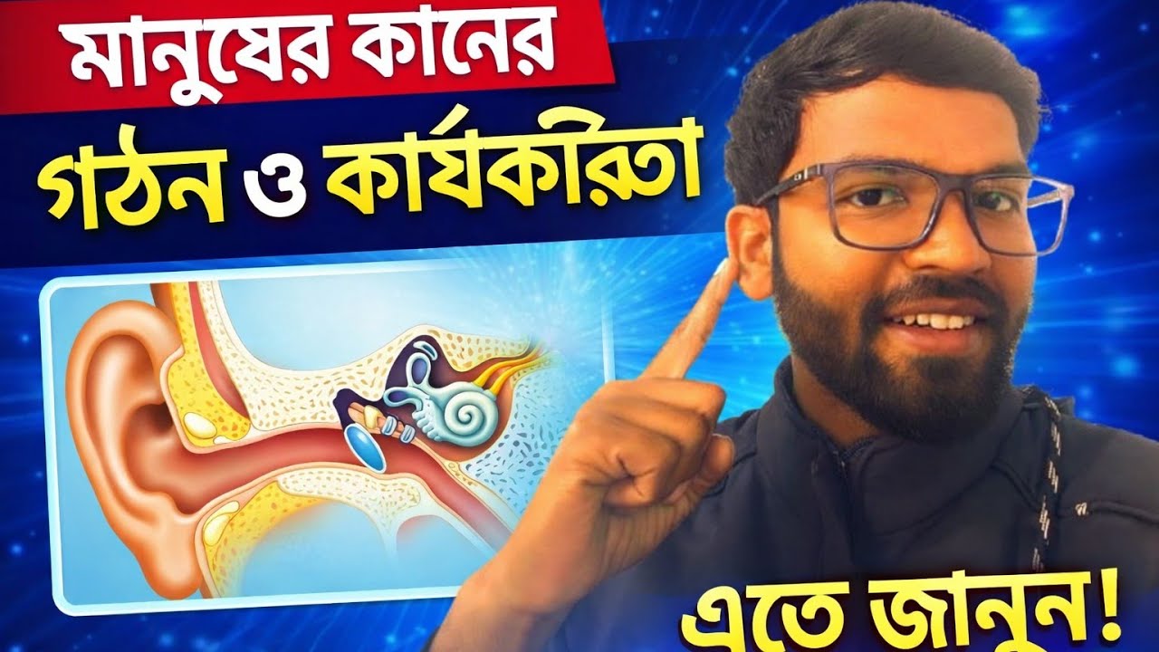The Structure of Human Ear | How We Hear? | Important for Exams| আমরা