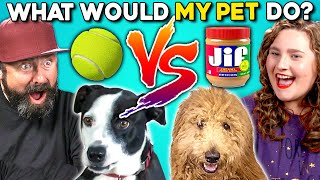 Can People Guess What Their Dog Does? | What Would My Dog Do?