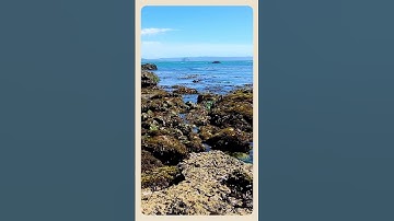 Thumbnail of Peaceful Cayucos Beach and Morro Rock #findbeauty #light #findingbeauty