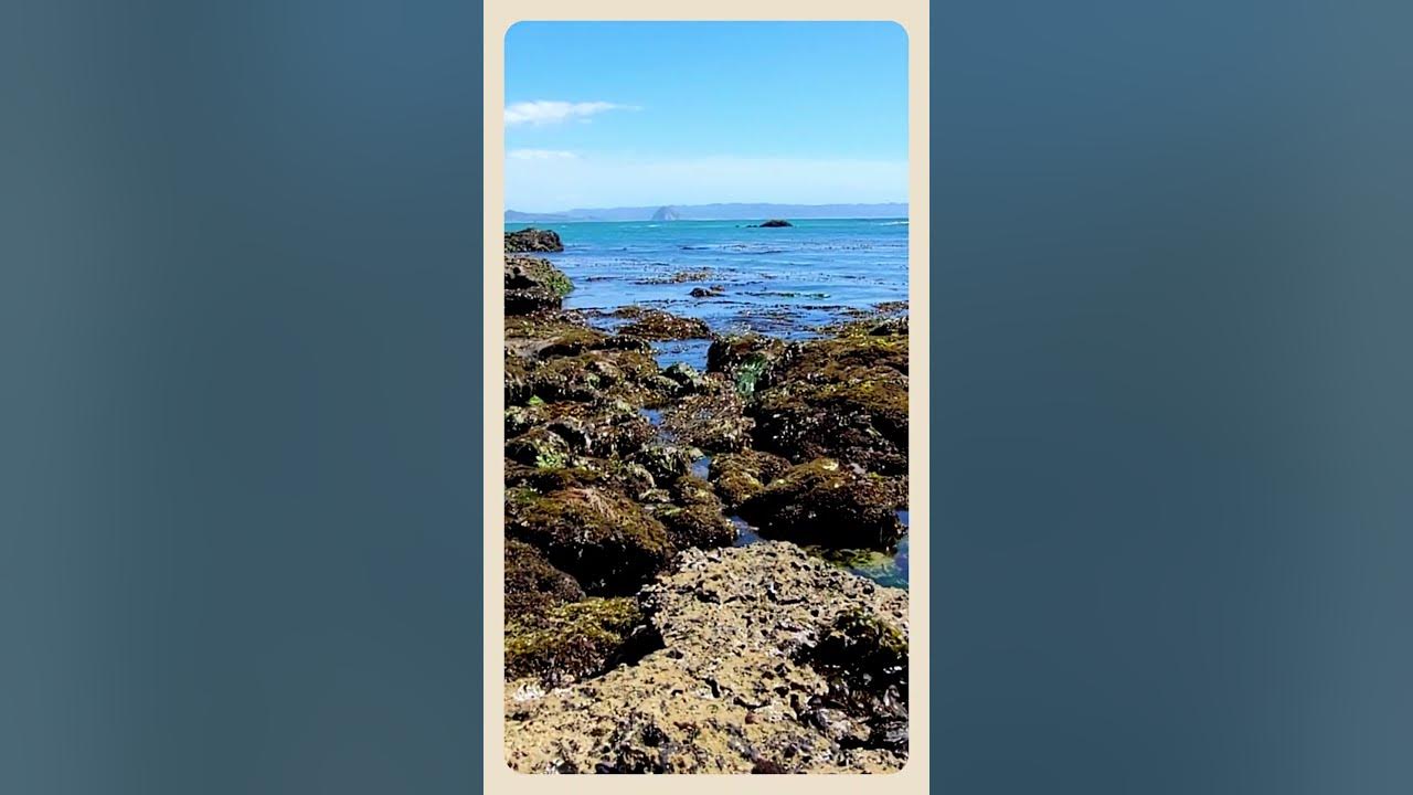 Peaceful Cayucos Beach and Morro Rock #findbeauty #light #findingbeauty Peaceful Cayucos Beach and Morro Rock #findbeauty #light #findingbeauty