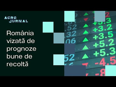 Video: Perfect Money: recenzii ale clienților