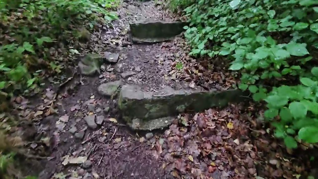 Dobogókő   Zsivány sziklák