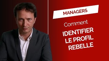 Process Communication - Comment identifier le profil rebelle