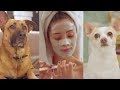 My Dog Narrates My Skincare Routine | Shay Mitchell