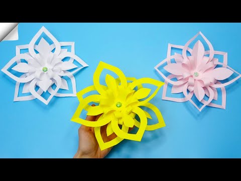 Video: 3 måder at passe blomster på
