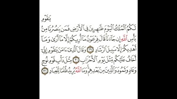 سورة غافر 11 القسم الحادي عشر تكرار كيفي من .. يا قوم لكم الملك .. إلى .. وما الله يريد ظلما للعباد