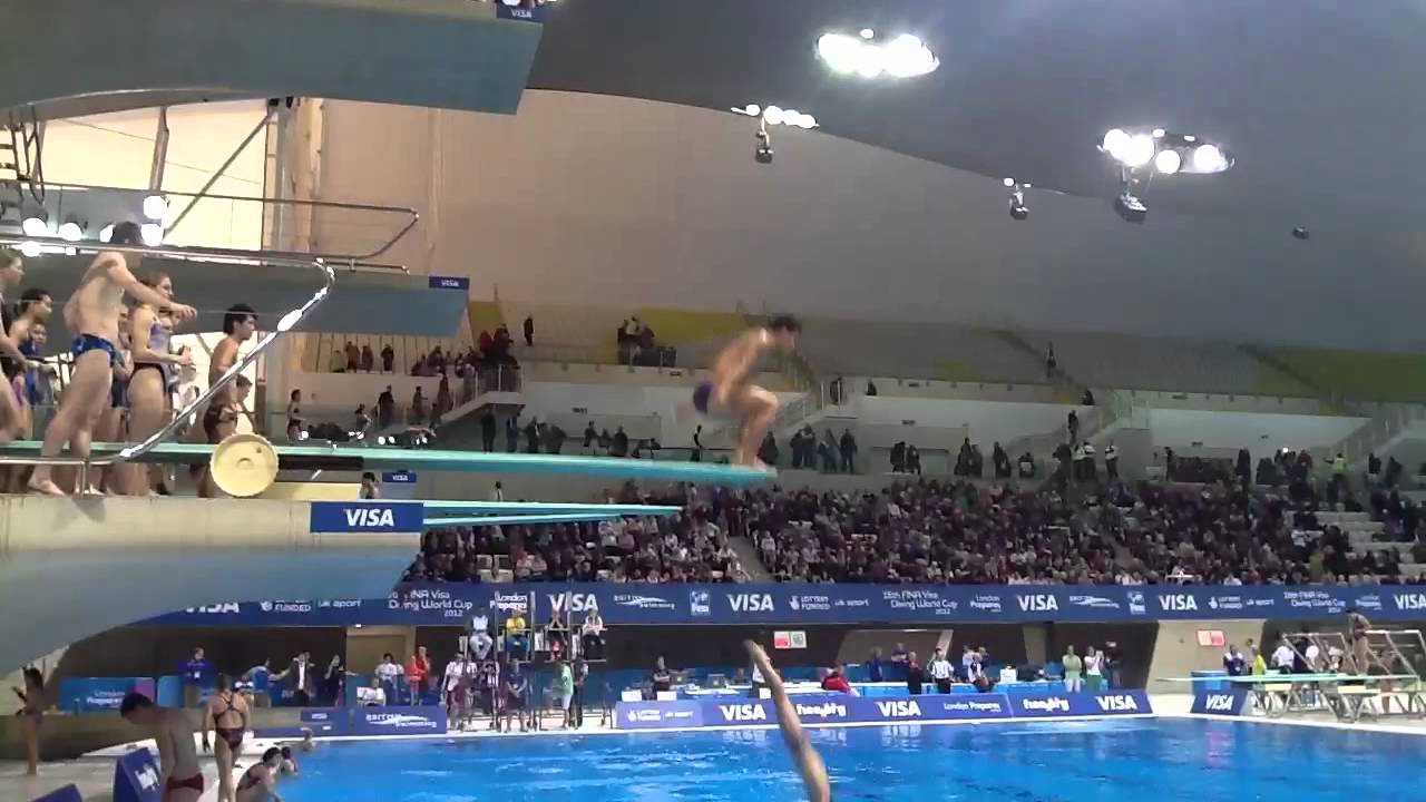 Fina World Cup London He Chong 307c