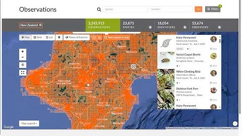 Using iNaturalist for identifying, recording and ongoing management of weeds Apr 2025