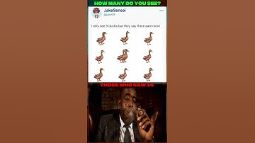 How many ducks do YOU see? 👀 #truedialogue