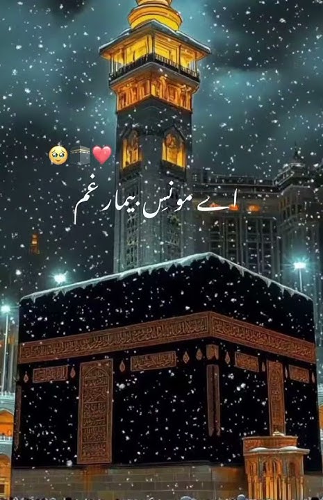 we teach Quran online All over the world 🌎 contact number for class+ ...