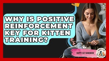 Why Is Positive Reinforcement Key For Kitten Training? - Happy Cat Handbook