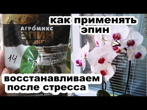 Медбике екі сарбазды анальді жыныстық қатынаста ұстады.