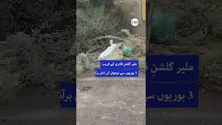 Malir Gulshan-e-Qadri Near Body Found in Sacks | Karachi News Update