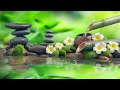 Relaxing Music 24/7, Stress Relief Music, Sleep Music, Meditation Music, Study, Calming Music, soft