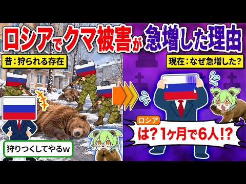 ロシアでクマ被害が急増している衝撃の真相のサムネイル