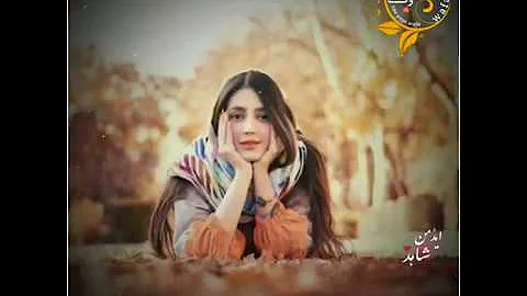 Gul sanga  Pashto New Song With Lyrics | Sham Ba  Lewane | Wafa Pashto New Song