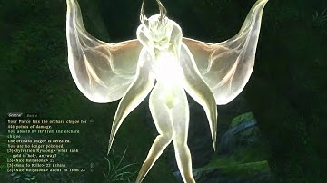 Final Fantasy XIV Online - "A Wailing Welcome" (Lancer Quest) Part 1