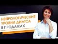 Пирамида нейрологических уровней Дилтса в продажах Нейрологические уровни НЛП в онлайн бизнесе