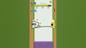 Save the dog level 40