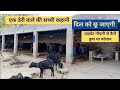 प्राइवेट नौकरी से कैसे हुवा था परेशान | Successful dairy farmer | Dairy farming in India