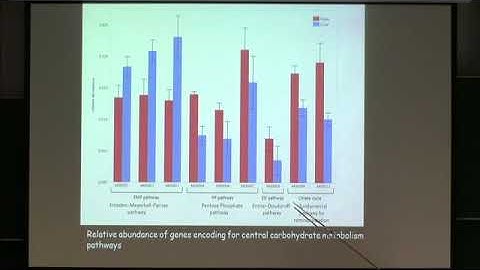 Andreas Haas | Contributed Talk 2: Structure, Function and Dynamics in Microbial Communities