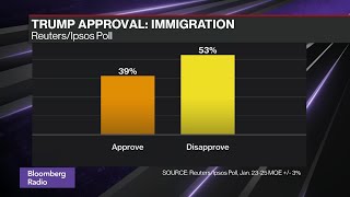 New Ipsos Poll Shows Majority of Public Disapproves of Trump Immigration Policy, ICE Actions