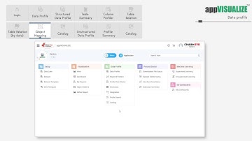 appVisualize Data Profile Demo