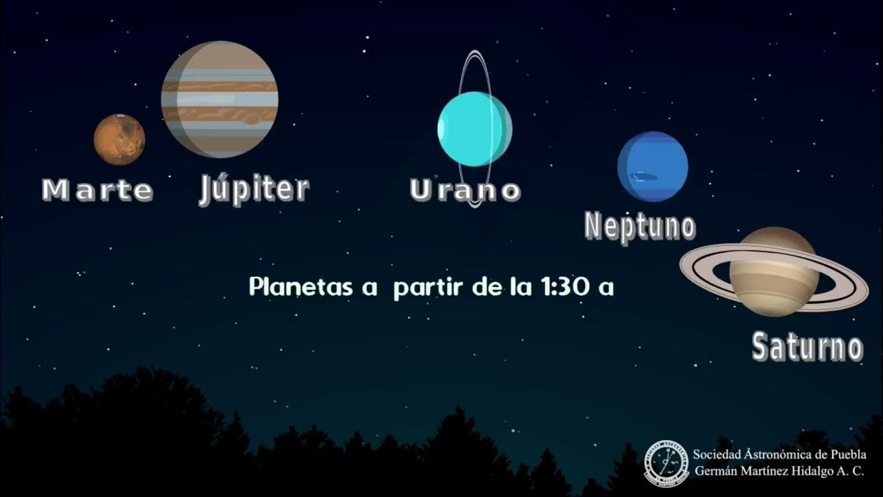 Alineación de del 28 de agosto de 2024. YouTube