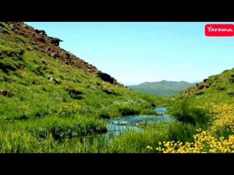 Daf O Zernah داف وزرنه 16 Www Yaramn Com