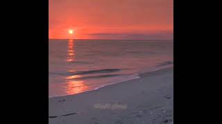 Söndü Güneş, Sigaralar Söner. Her Yer Sen ...