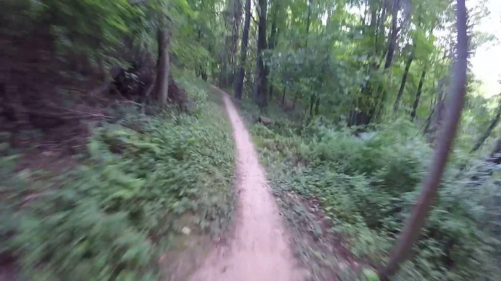 FAT BIKE | Yellow Trail Backwards | Whiting Rd Park, Webster NY