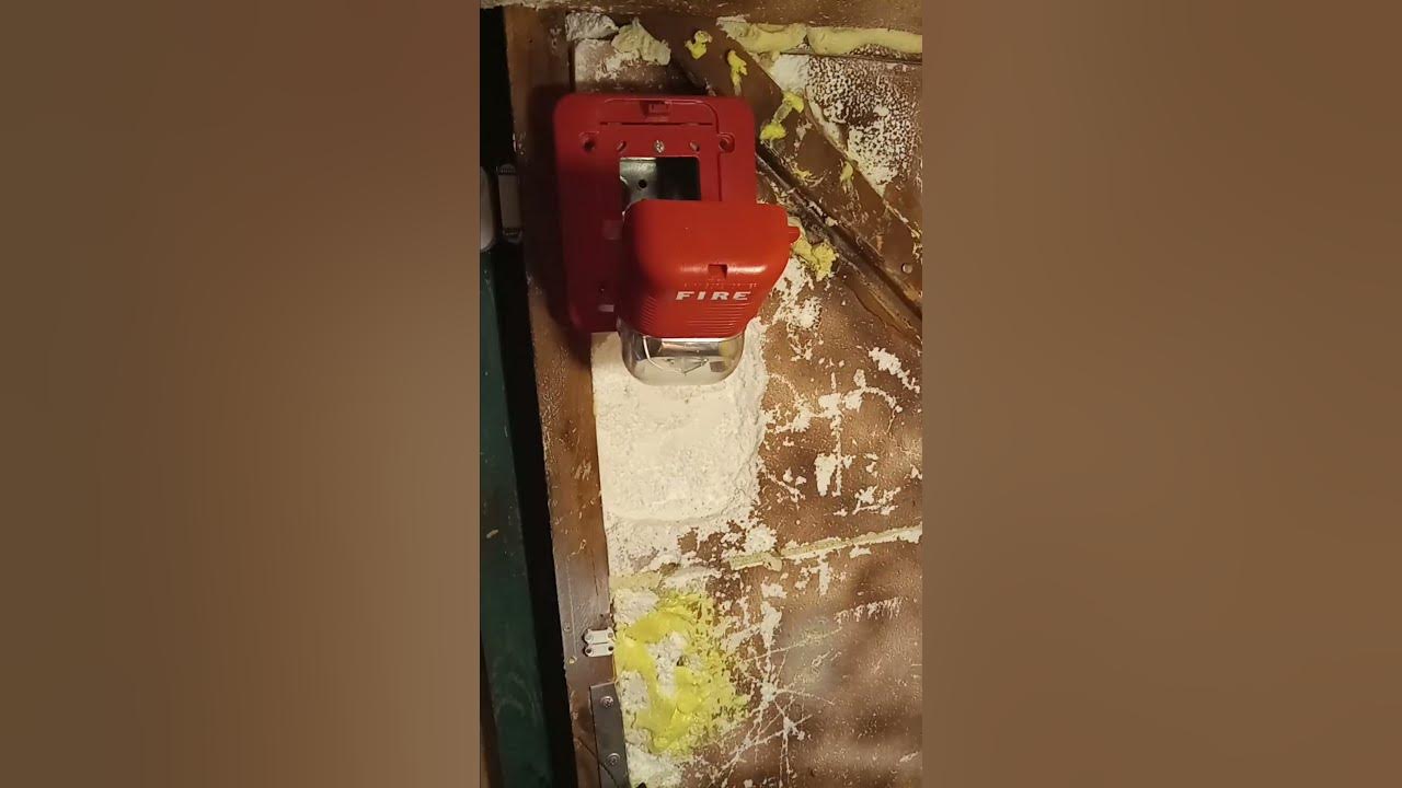 slapping a fire alarm YouTube