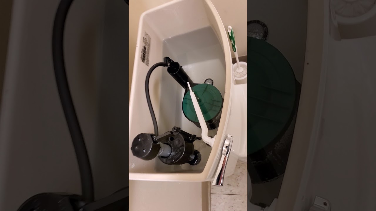 American Standard Champion flush YouTube