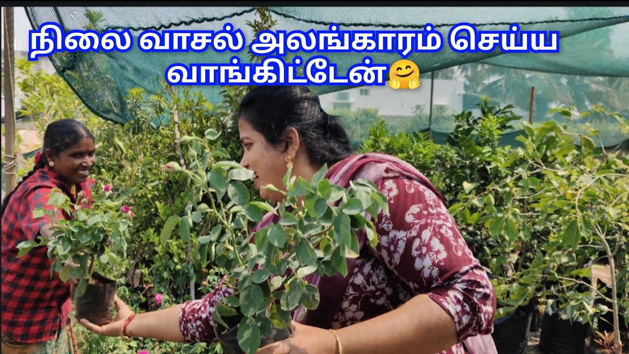 🤗நிலை வாசல் அலங்காரம் செய்ய இதெல்லாம் வாங்கி இருக்கேன்😀 #vlog